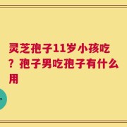 灵芝孢子11岁小孩吃？孢子男吃孢子有什么用