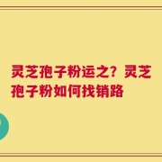 灵芝孢子粉运之？灵芝孢子粉如何找销路