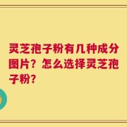 灵芝孢子粉有几种成分图片？怎么选择灵芝孢子粉？