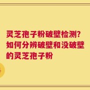 灵芝孢子粉破壁检测？如何分辨破壁和没破壁的灵芝孢子粉