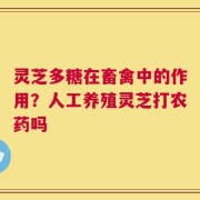 灵芝多糖在畜禽中的作用？人工养殖灵芝打农药吗