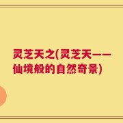 灵芝天之(灵芝天——仙境般的自然奇景)