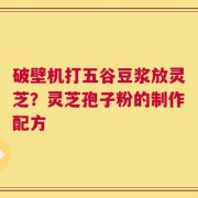 破壁机打五谷豆浆放灵芝？灵芝孢子粉的制作配方