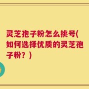 灵芝孢子粉怎么挑号(如何选择优质的灵芝孢子粉？)