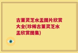 古董灵芝水盂图片欣赏大全(珍稀古董灵芝水盂欣赏图集)