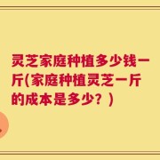 灵芝家庭种植多少钱一斤(家庭种植灵芝一斤的成本是多少？)