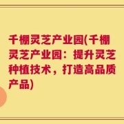 千棚灵芝产业园(千棚灵芝产业园：提升灵芝种植技术，打造高品质产品)