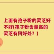 上面有孢子粉的灵芝好不好(孢子粉含量高的灵芝有何好处？)