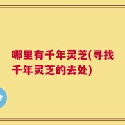 哪里有千年灵芝(寻找千年灵芝的去处)