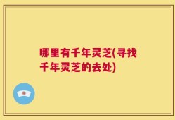 哪里有千年灵芝(寻找千年灵芝的去处)