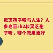 灵芝孢子粉与人生？人参皂苷rh2和灵芝孢子粉，哪个效果更好