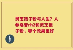 灵芝孢子粉与人生？人参皂苷rh2和灵芝孢子粉，哪个效果更好