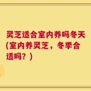 灵芝适合室内养吗冬天(室内养灵芝，冬季合适吗？)