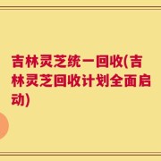 吉林灵芝统一回收(吉林灵芝回收计划全面启动)