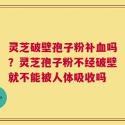 灵芝破壁孢子粉补血吗？灵芝孢子粉不经破壁就不能被人体吸收吗