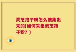 灵芝孢子粉怎么搜集出来的(如何采集灵芝孢子粉？)