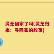 灵芝回家了吗(灵芝归来：寻回家的故事)