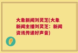 大象新闻刘灵芝(大象新闻主播刘灵芝：新闻资讯传递好声音)