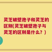 灵芝破壁孢子和灵芝的区别(灵芝破壁孢子与灵芝的区别是什么？)