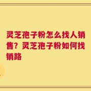 灵芝孢子粉怎么找人销售？灵芝孢子粉如何找销路