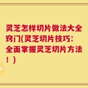 灵芝怎样切片做法大全窍门(灵芝切片技巧：全面掌握灵芝切片方法！)