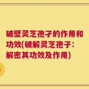 破壁灵芝孢孑的作用和功效(破解灵芝孢子：解密其功效及作用)