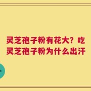 灵芝孢子粉有花大？吃灵芝孢子粉为什么出汗