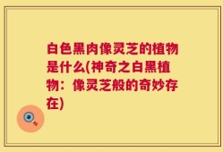 白色黑肉像灵芝的植物是什么(神奇之白黑植物：像灵芝般的奇妙存在)
