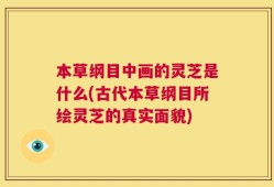本草纲目中画的灵芝是什么(古代本草纲目所绘灵芝的真实面貌)