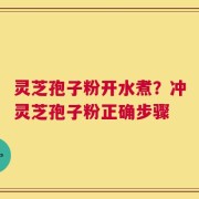 灵芝孢子粉开水煮？冲灵芝孢子粉正确步骤