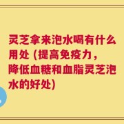 灵芝拿来泡水喝有什么用处 (提高免疫力，降低血糖和血脂灵芝泡水的好处)