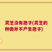 灵芝没有孢子(灵芝的种类并不产生孢子)