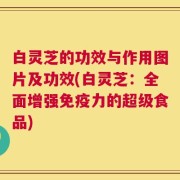 白灵芝的功效与作用图片及功效(白灵芝：全面增强免疫力的超级食品)