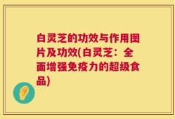 白灵芝的功效与作用图片及功效(白灵芝：全面增强免疫力的超级食品)