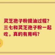 灵芝孢子粉提油过程？三七和灵芝孢子粉一起吃，真的有用吗？