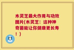 木灵芝最大作用与功效图片(木灵芝：这种神奇菌能让你健康更长寿！)