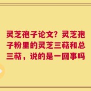 灵芝孢子论文？灵芝孢子粉里的灵芝三萜和总三萜，说的是一回事吗