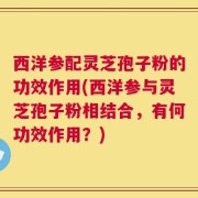 西洋参配灵芝孢子粉的功效作用(西洋参与灵芝孢子粉相结合，有何功效作用？)