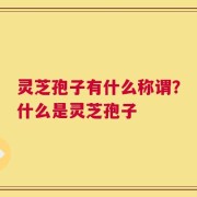 灵芝孢子有什么称谓？什么是灵芝孢子