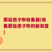 蘑菇孢子粉收集器(收集蘑菇孢子粉的新装置)