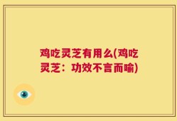 鸡吃灵芝有用么(鸡吃灵芝：功效不言而喻)