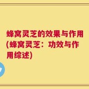 蜂窝灵芝的效果与作用(蜂窝灵芝：功效与作用综述)