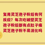 复用灵芝孢子粉后有何反应？每次吃破壁灵芝孢子粉后都有点肚子痛灵芝孢子粉不易消化吗