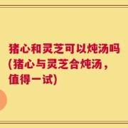 猪心和灵芝可以炖汤吗(猪心与灵芝合炖汤，值得一试)