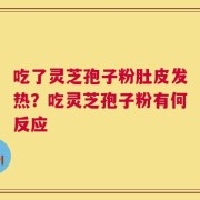 吃了灵芝孢子粉肚皮发热？吃灵芝孢子粉有何反应