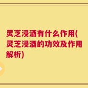 灵芝浸酒有什么作用(灵芝浸酒的功效及作用解析)