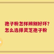 孢子粉怎样辨别好坏？怎么选择灵芝孢子粉