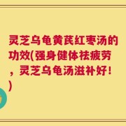 灵芝乌龟黄芪红枣汤的功效(强身健体祛疲劳，灵芝乌龟汤滋补好！)