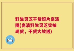 野生灵芝干货照片高清图(高清野生灵芝实拍现货，干货大放送)