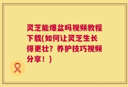 灵芝能爆盆吗视频教程下载(如何让灵芝生长得更壮？养护技巧视频分享！)